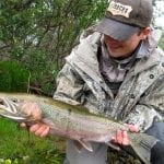 Trevor-Brittingham-Steelhead