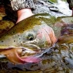 Trevor-Brittingham-fishing-2