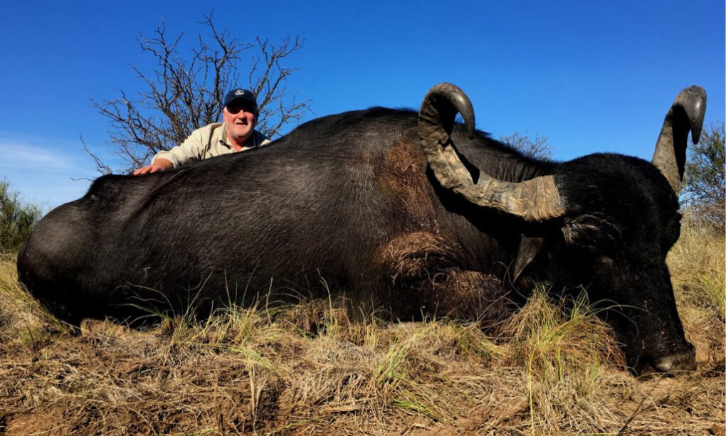 Argentina Water Buffalo Hunting Outdoors International