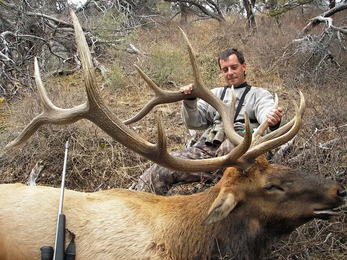 Oregon-Elk-Hunting-Outfitte » Outdoors International Oregon elk hunting