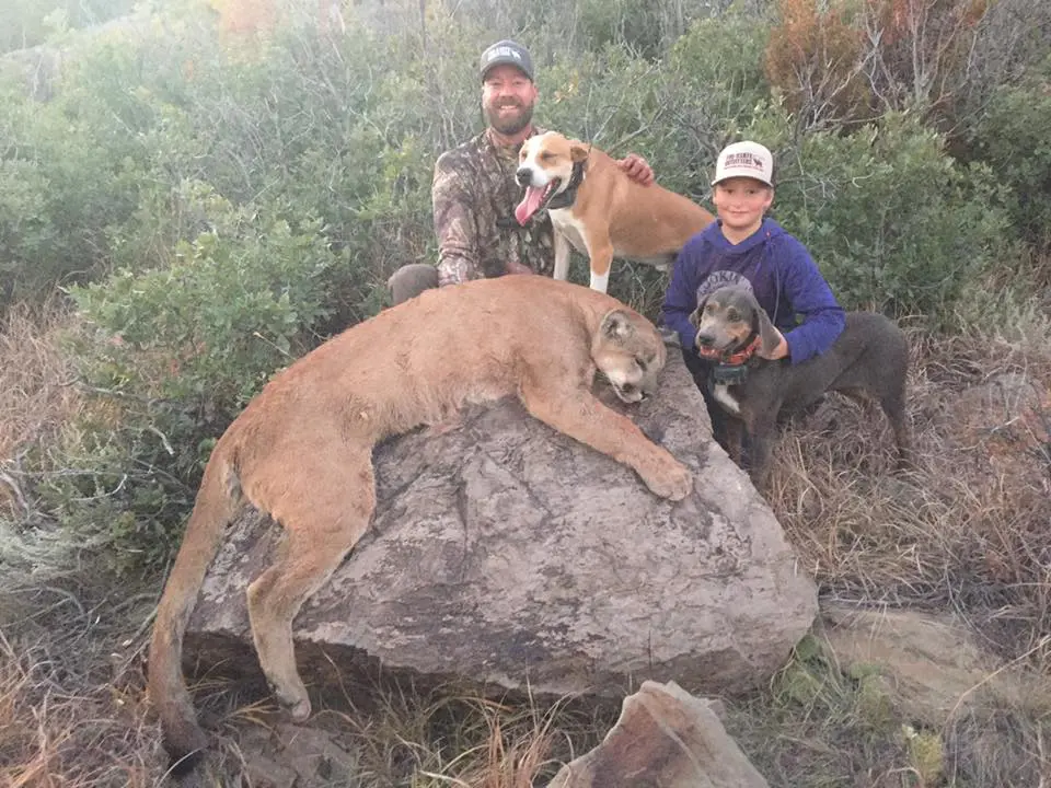 Colorado Mountain Lion Hunting LOU1 » Outdoors International Colorado Mountain Lion Hunting