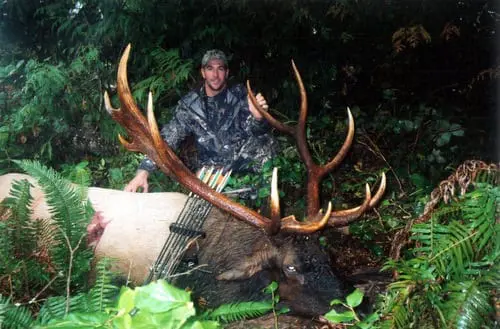 Roosevelt-elk-hunts-in-British-Columbia-with-Coastal-Inlet-Adventures-9 » Outdoors International Archery hunting Roosevelt elk in British Columbia