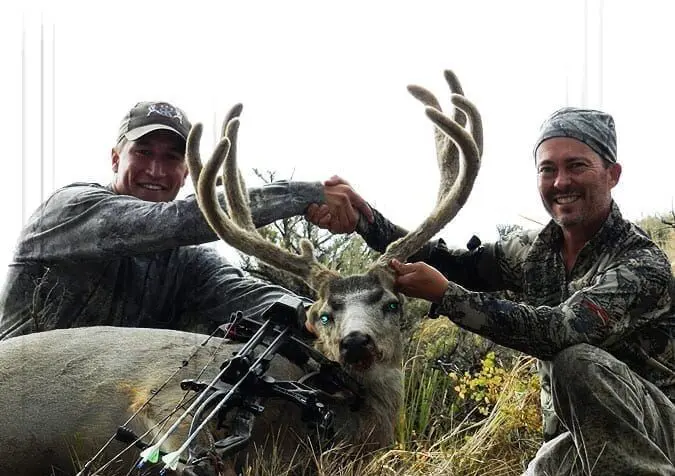 In the five days of archery mule deer hunting in Utah, I had been inside 75 yards of a 150 inch buck at least once every day and inside 25 yards twice. We had seen a lot of very good bucks with a few we estimated over 180 inches. We never saw less than three bucks over 150 inches every day.