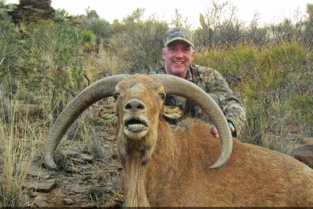 Mike White in West Texas Aoudad Hunting