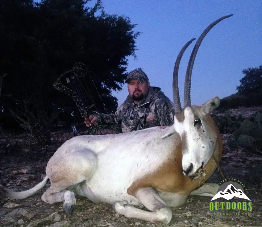 Scimitar Oryx Hunt