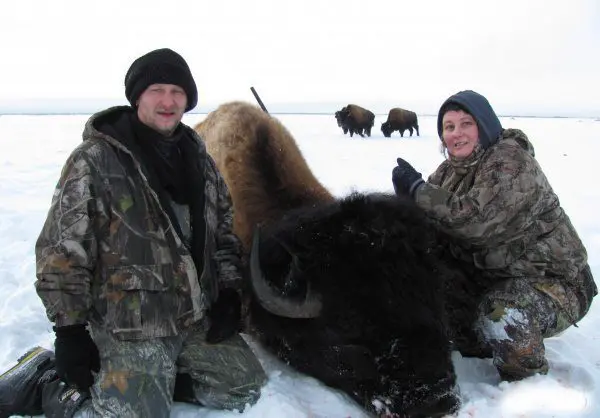 Alberta Bison Hunting BSO1 » Outdoors International Alberta Bison Hunting