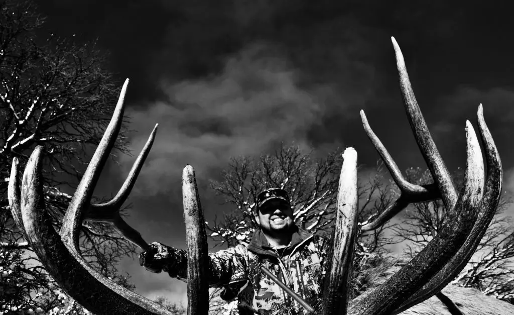 New-Mexico-elk-hunting » Outdoors International New Mexico elk hunting