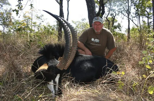 Roosevelt-sable-hunting-in-Mozambique » Outdoors International Roosevelt Sable bull