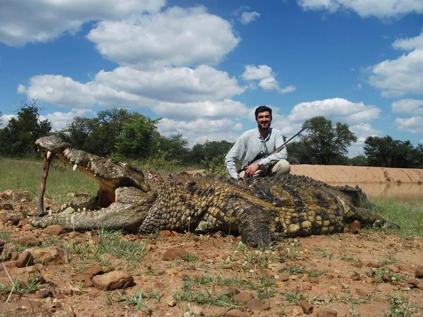 South-African-Croc-Hunt » Outdoors International Once a big croc finds the bait, he will defend it vigorously… and now it’s time to hunt.