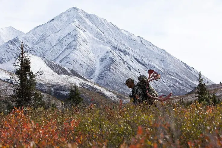unguided-caribou hunters pack out » Outdoors International Packing out a caribou