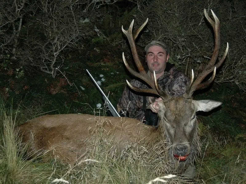 Free-Range-Red-Stag-New-Zealand-NZS » Outdoors International Free Range Red Stag Hunting New Zealand