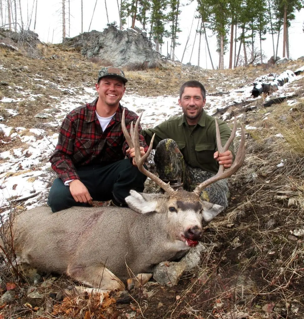 Idaho Mule Deer down