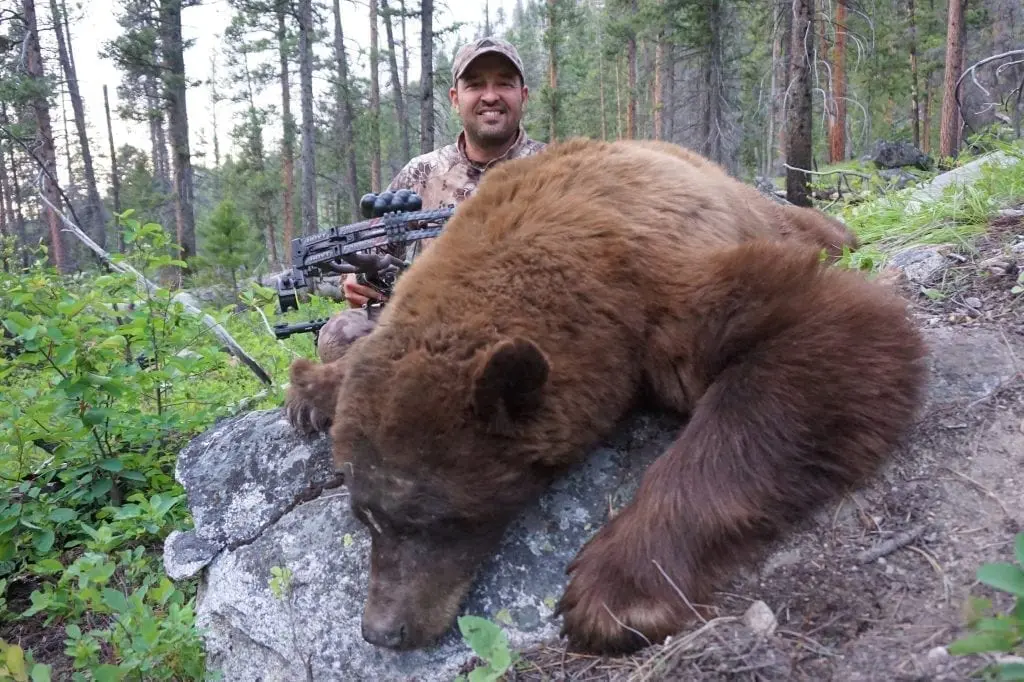 Cory with his 2016 archery black bear.