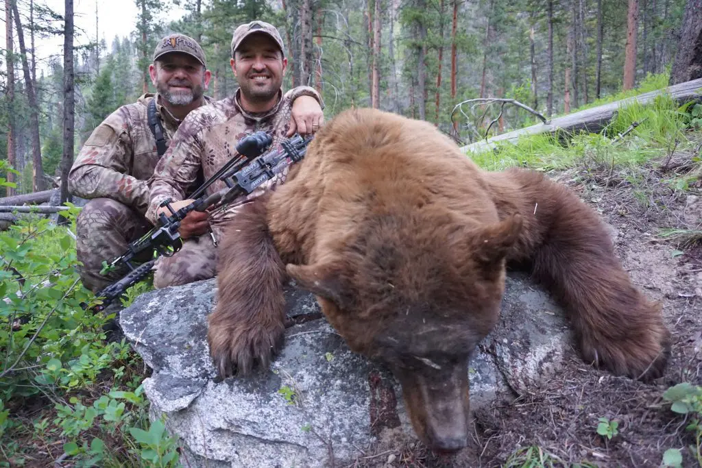 Cory-and-Russ-bear Idaho Color Phase » Outdoors International Cory's old color phase idaho bear
