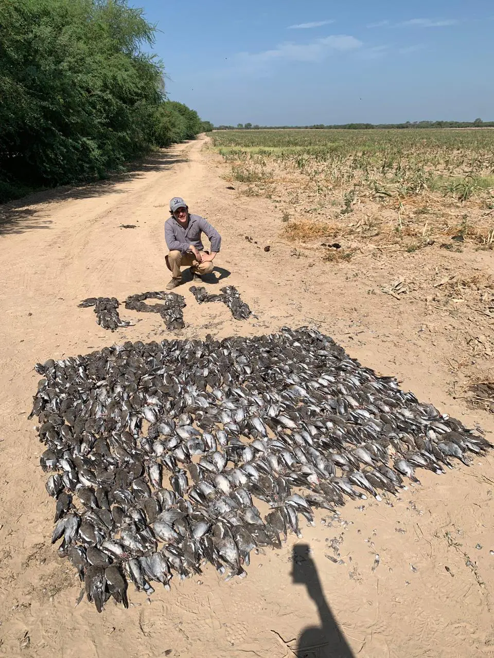 I have hunted and fished in Mexico for many years now, and I can say that nothing compares to the experience you enjoy at this hunting lodge.
