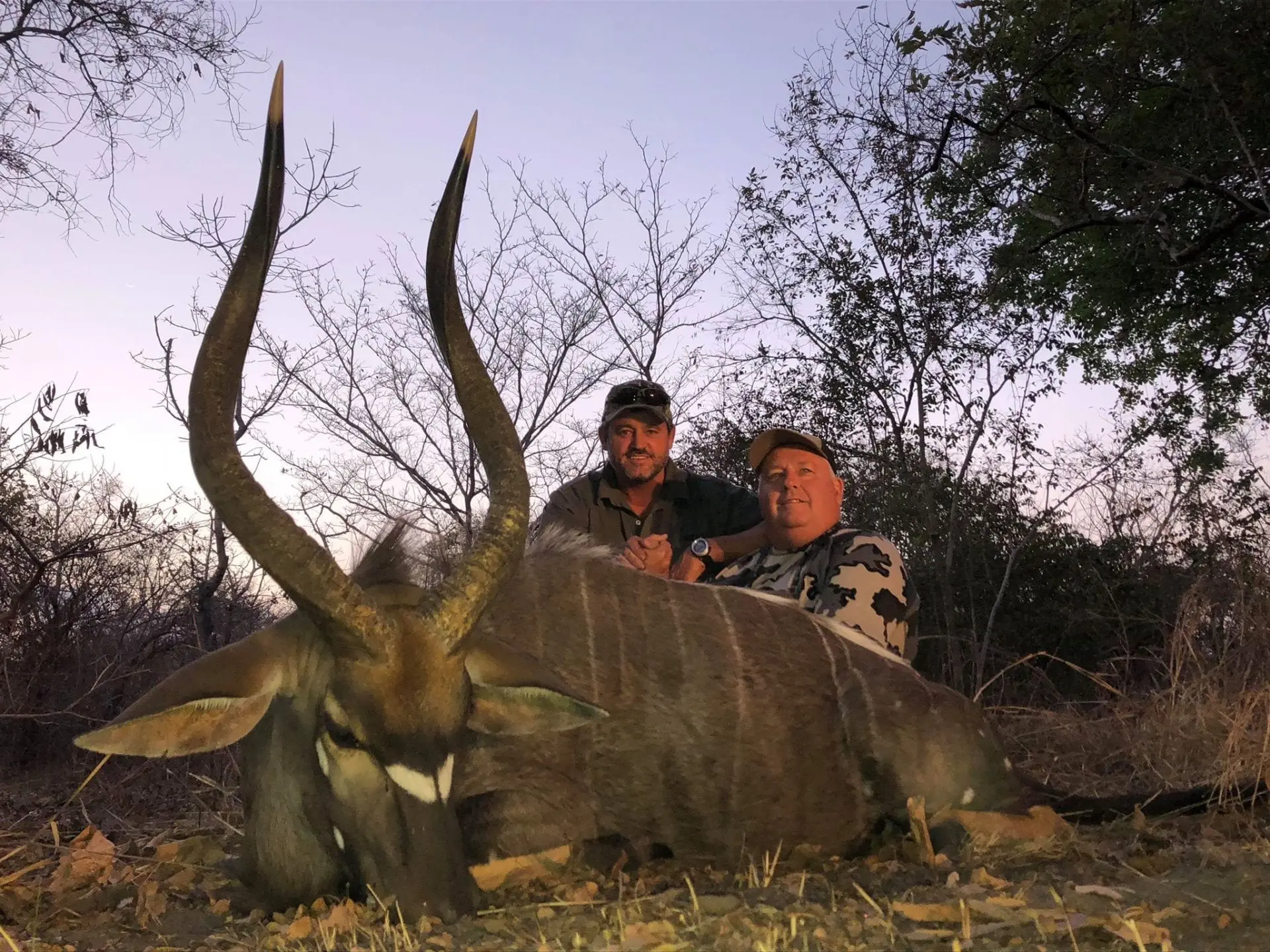 Africa-Mozambique-Botes-Plains-Game-Nyala » Outdoors International Nyala hunting in Mozambique