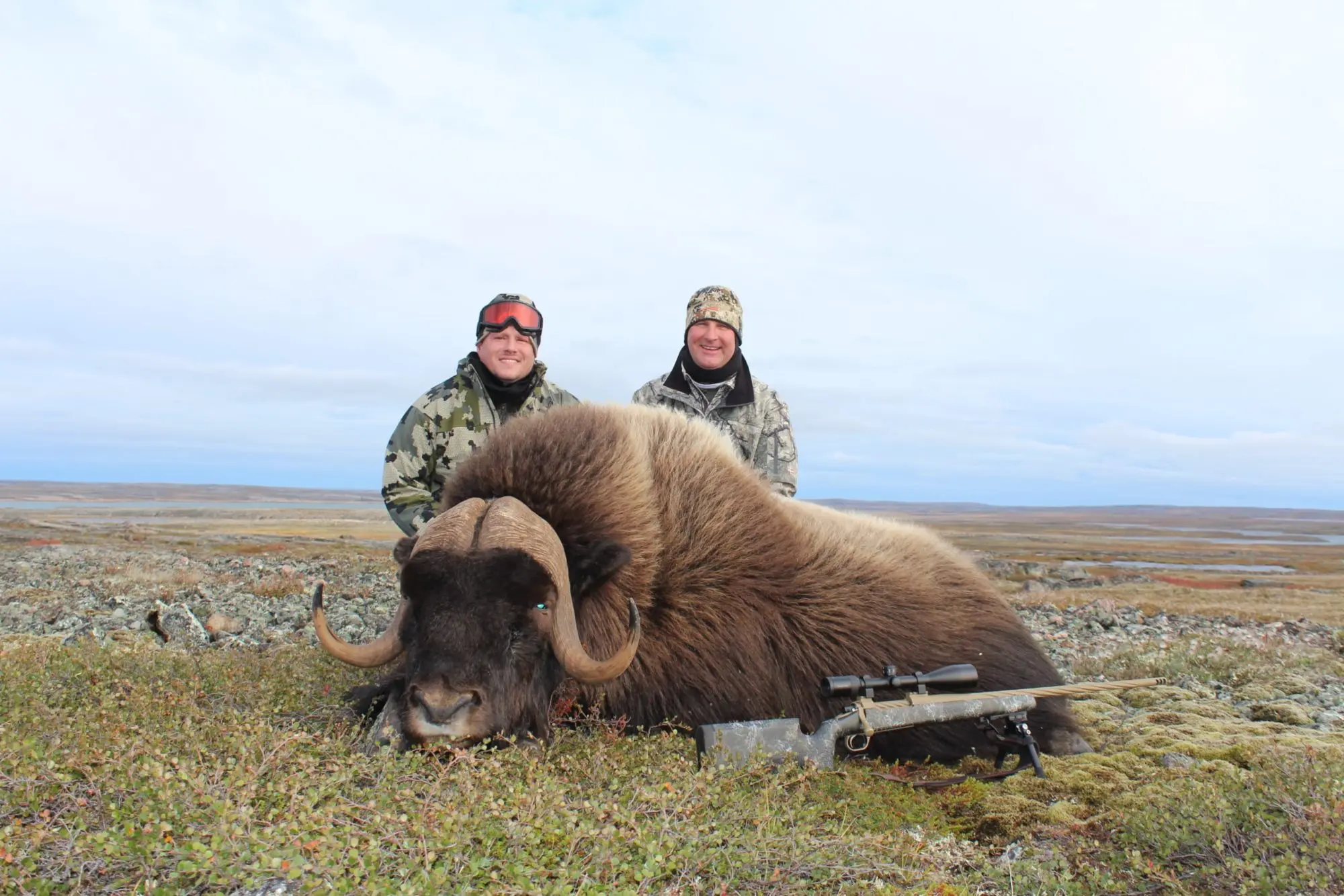 Summer Nunavut Muskox CNO1 Canada North Outfitting » Outdoors International Summer Nunavut muskox hunting