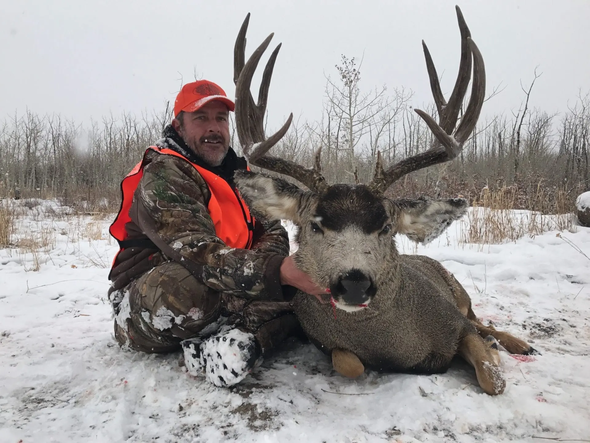 Colorado-mule-deer-DH4 » Outdoors International Colorado Mule Deer Hunting