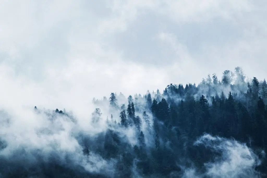 Foggy mountains of British Columbia
