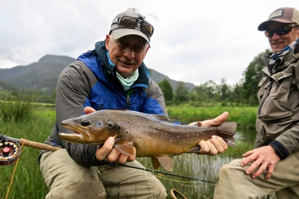 Gorgeous Brown Trout in Patagonia