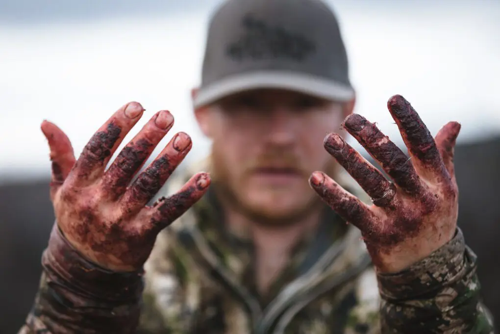 If you’re a backcountry DIY hunter, you’re going to want to quickly break an animal down into manageable pieces and get it cooled down. The best way to do that is called the gutless method.