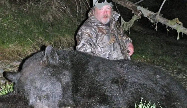 Alaska Black Bear PMG » Outdoors International A great Alaska black bear