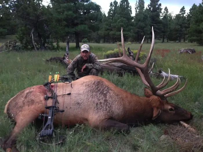 This amazing archery bull was taken in one of the best elk units in Arizona Unit 5B North.