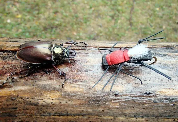 The Cantaria Beetle - Patagonia Chile’s finest dry fly.