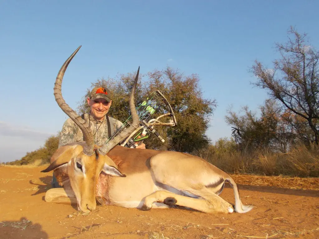 Impala