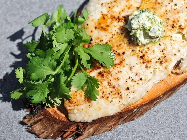 Grilled Lime-Cilantro Sturgeon
