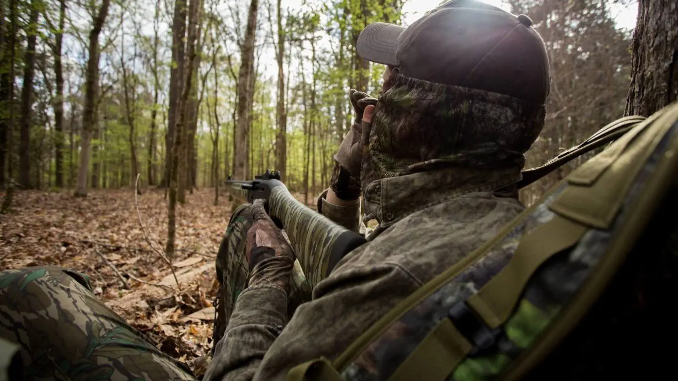 How to Turkey Hunt: The Basics Of Turkey Hunting