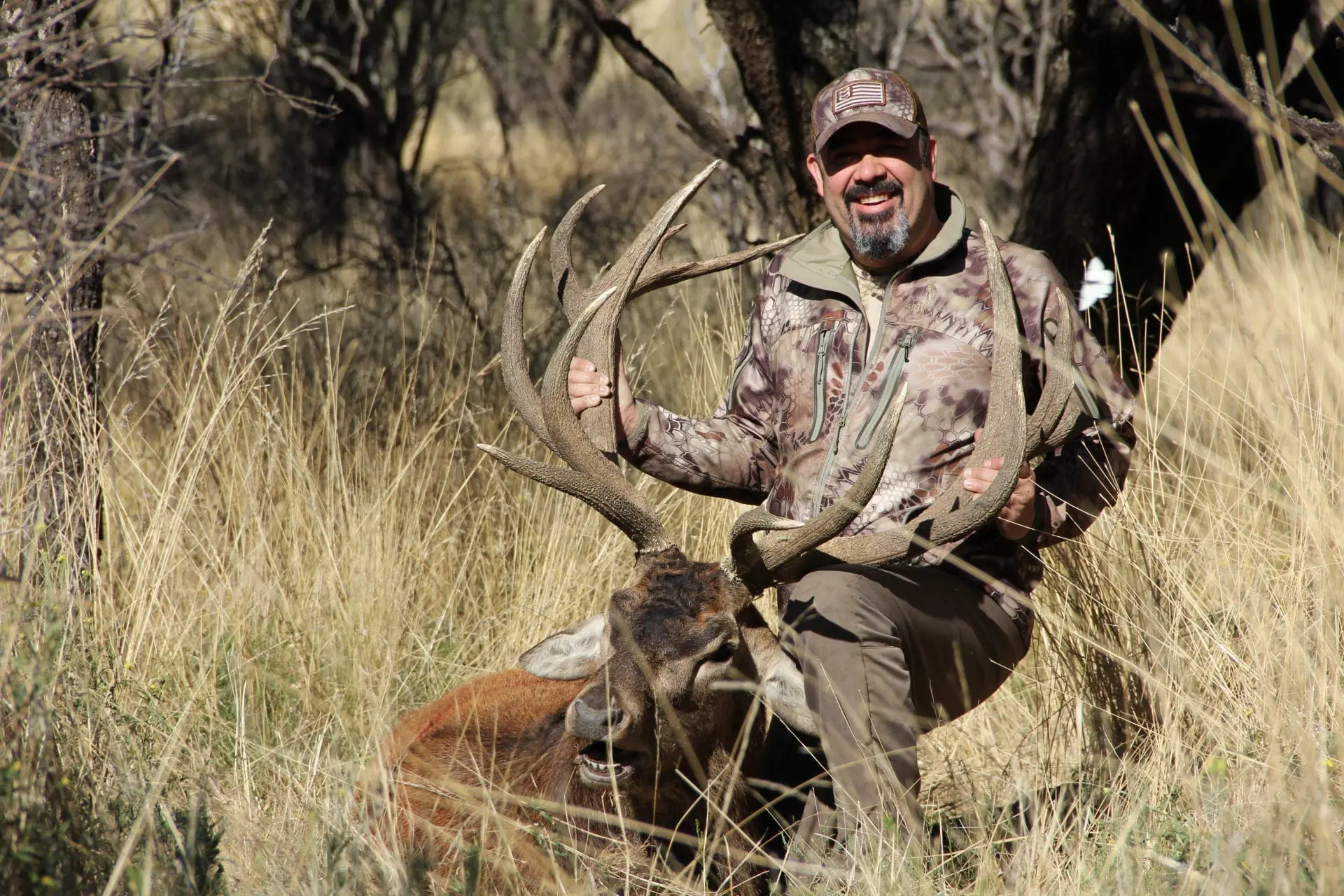 Mat with a great free range red stag