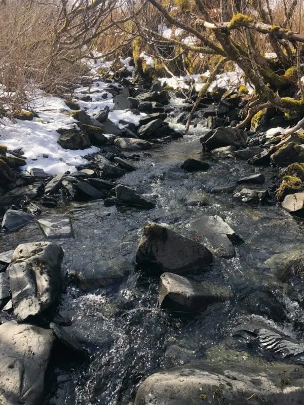 Cory-Glauner-brown-bear-hunt-with-Kodiak-Guides-in-Alaska-2-600x800 » Outdoors International Sneaking up this stream following a wounded brown bear isn’t for the faint of heart.