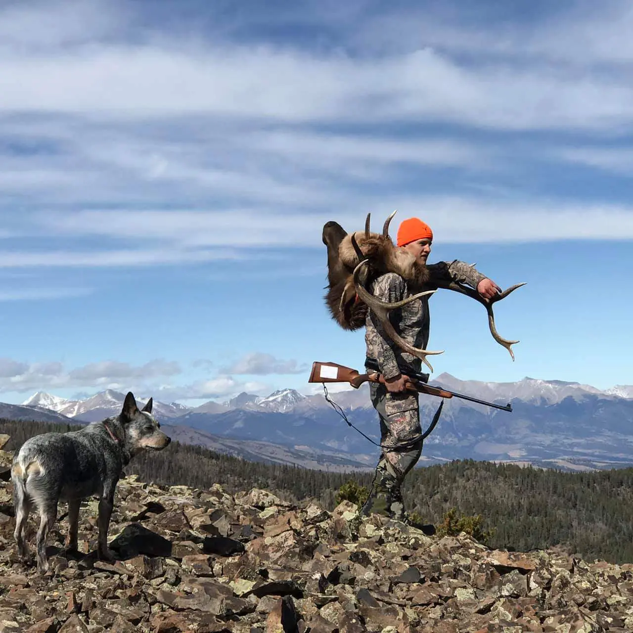 Charles Bartlett, Colorado Public Land Rifle Elk Hunt Report » Outdoors International Hunting in Colorado