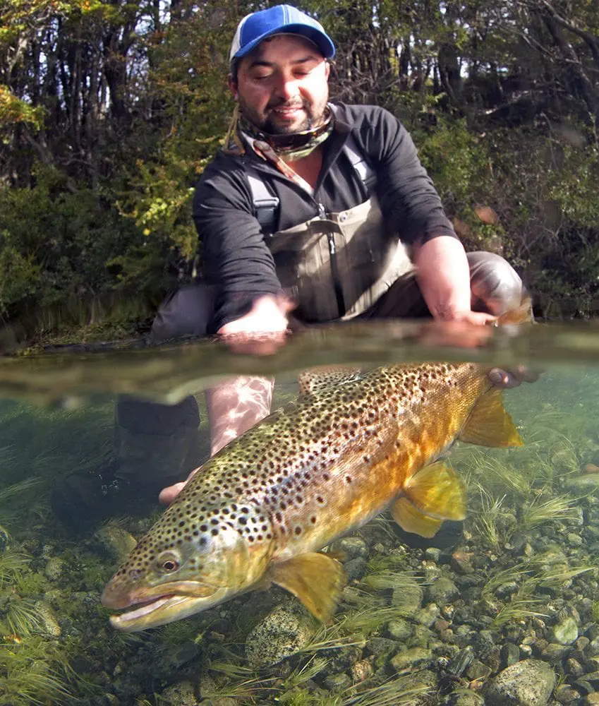 Magic-Waters-Patagonia-Chile-Fly-Fishing-Lodge-Brown Trout » Outdoors International You’ll be fishing for big browns in gin-clear water.