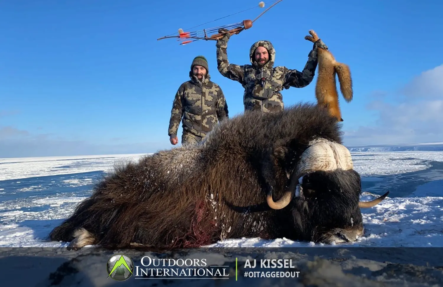 AJ Kissel with his archery muskox