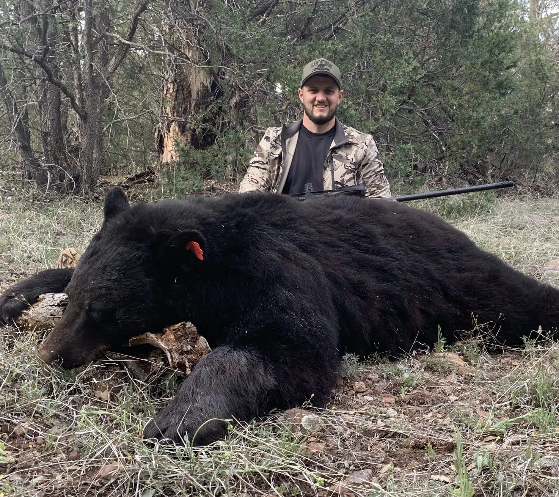 Bear hunting in Arizona on the white mountain apache reservation