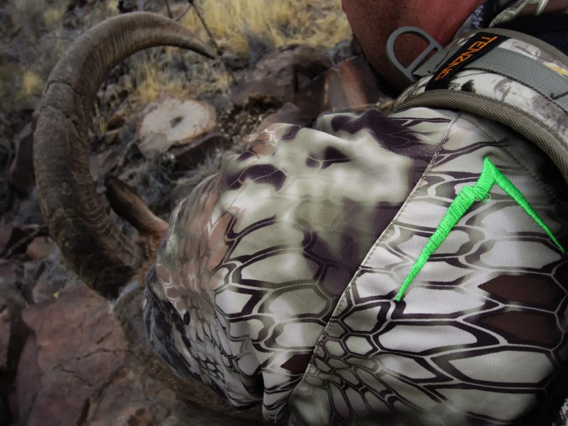 Cory Glauner admiring his Texas free range aoudad.