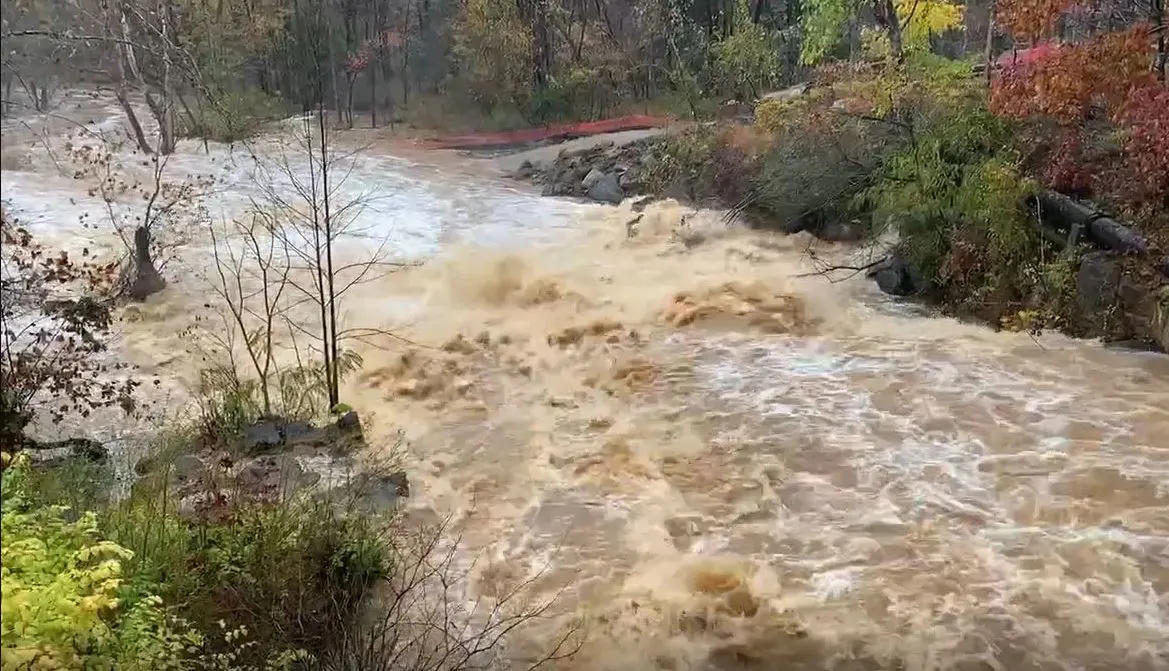 High Water Bear Hunt