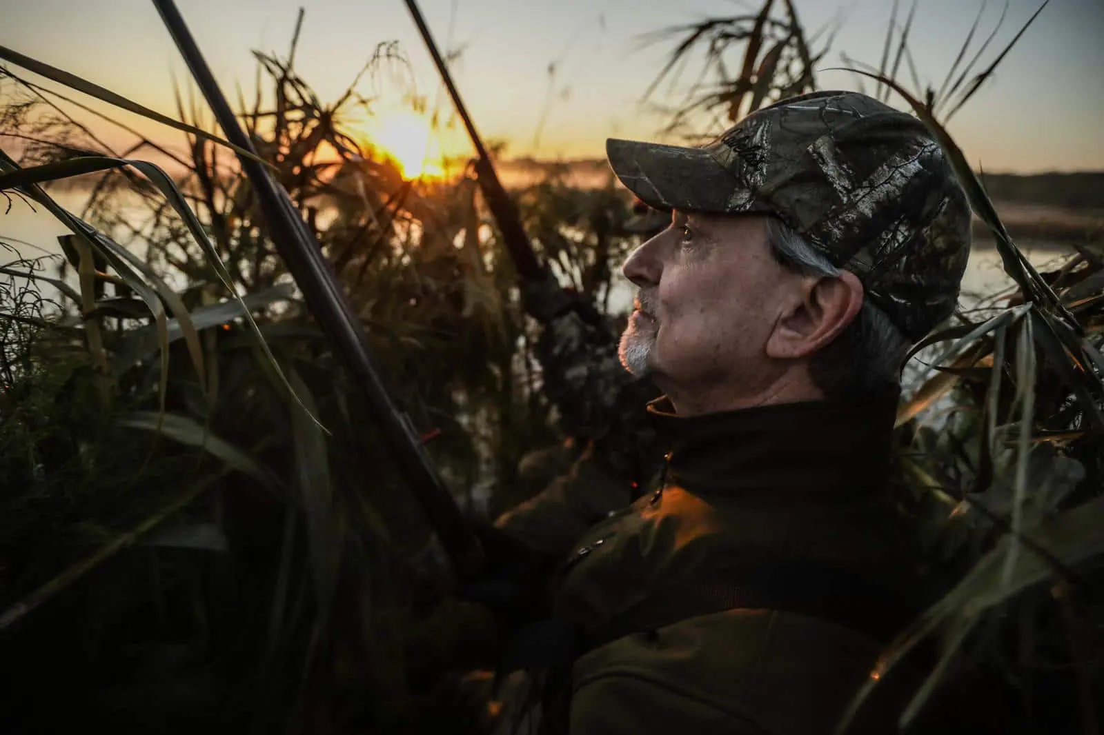 Bird hunting in Mexico