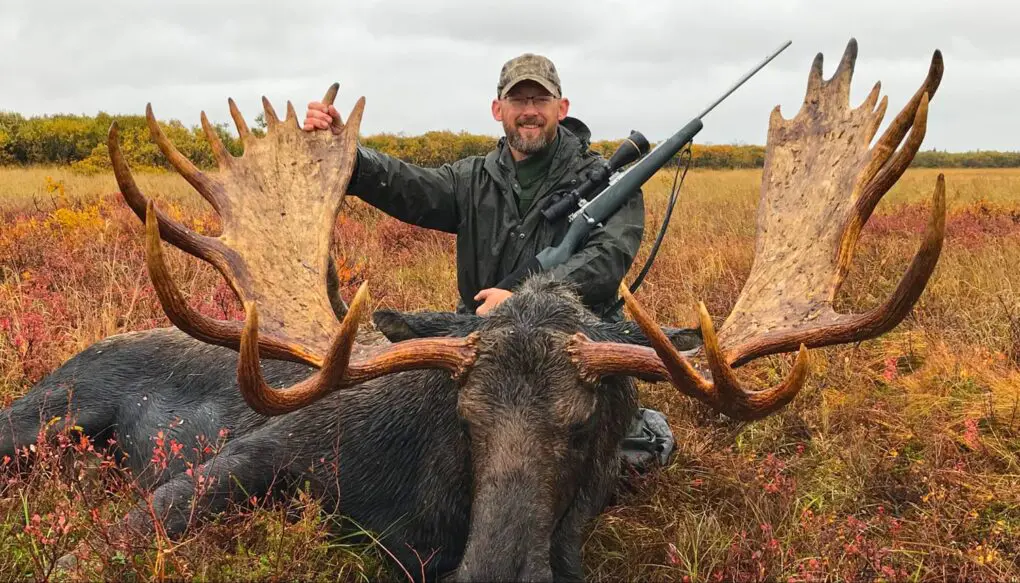 Our unguided moose hunters have enjoyed tremendous success on this hunt over the years.
