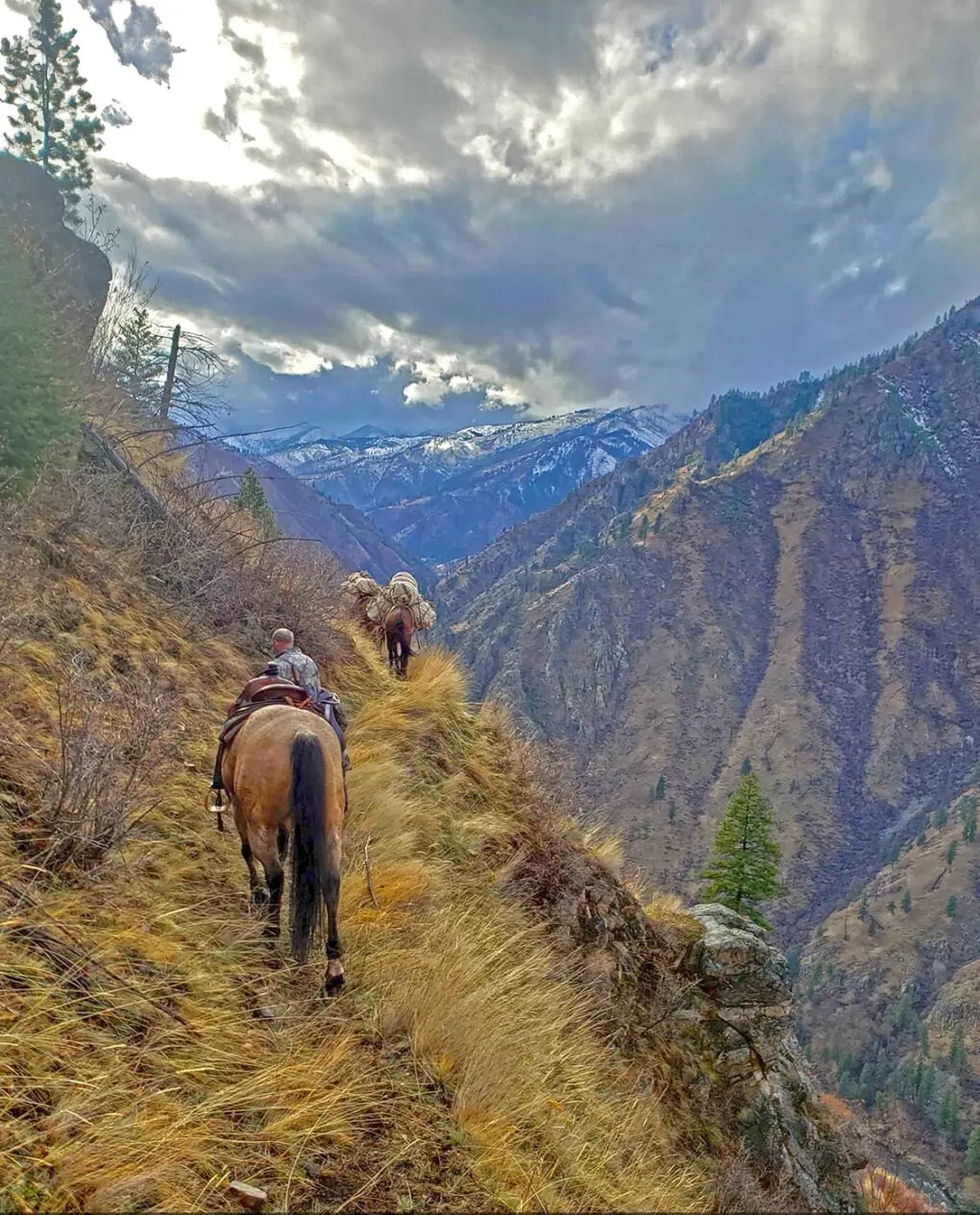 Riding horses on a steep trail in the Frank Church Wilderness of Idaho