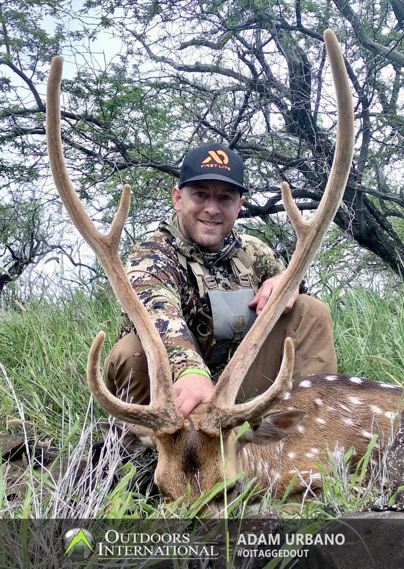 Axis deer hunting