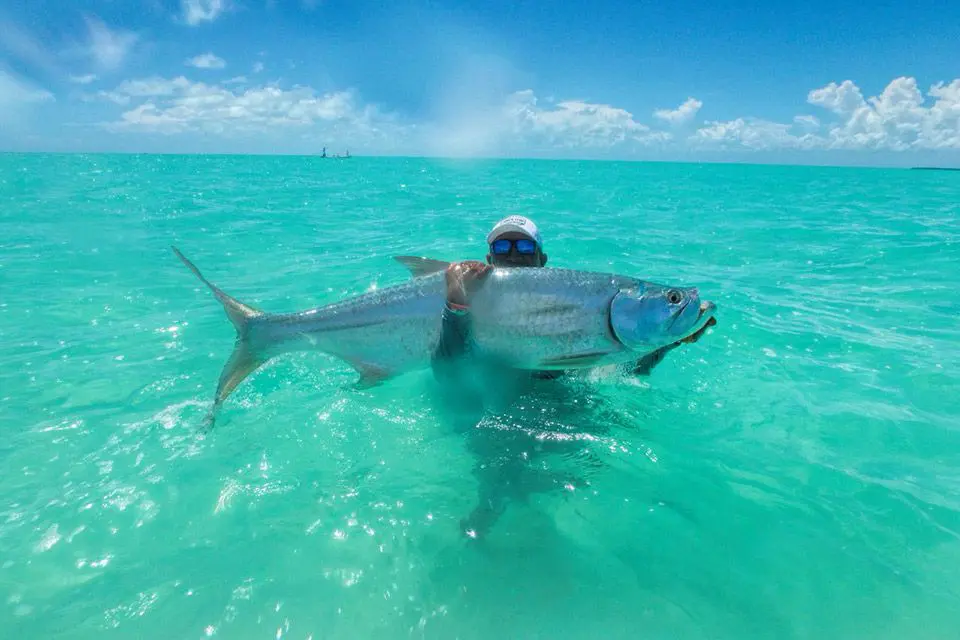 Belize-Tarpon-Fishing-EP1 ยป Outdoors International Tarpon fishing