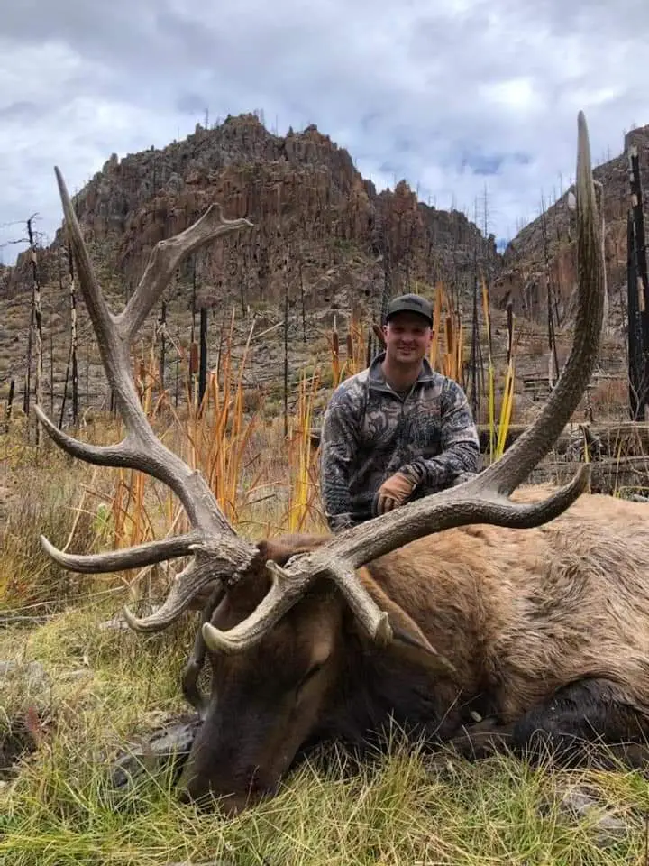 Beat those New Mexico nonresident elk draw odds.