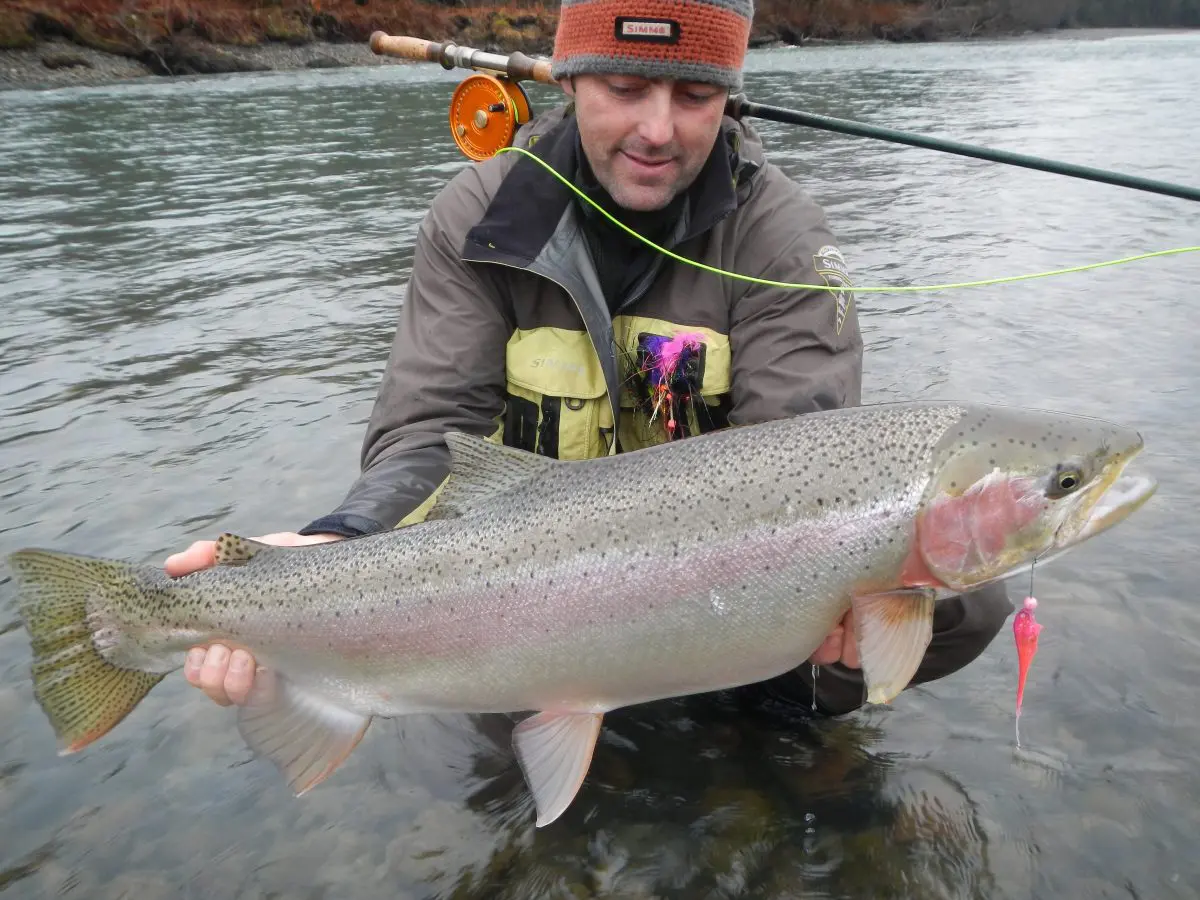 Skeena-River-Steelhead-Fishing-12.jpg » Outdoors International A giant steelhead