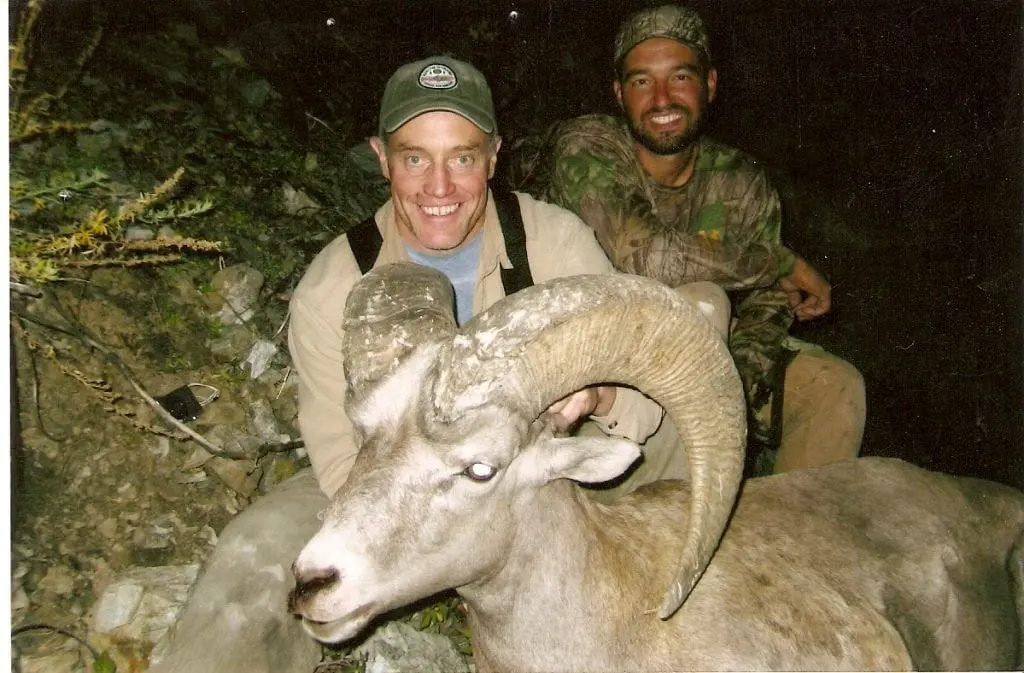 Guiding sheep in Idaho