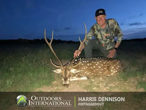 Texas Axis Deer Hunt