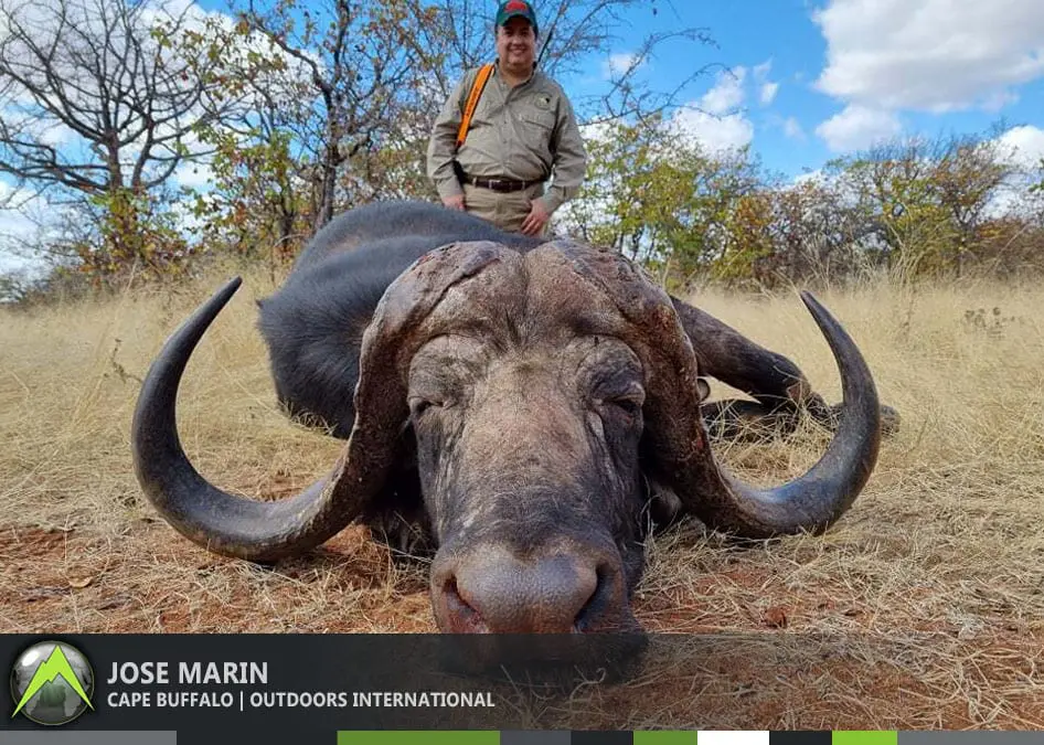 Jose Marin Client South Africa Hunting Safari Cape Buffalo DWHS » Outdoors International This huge old bull scores 120 1/2″ SCI and is 41 6/8″ wide with incredible drop!
