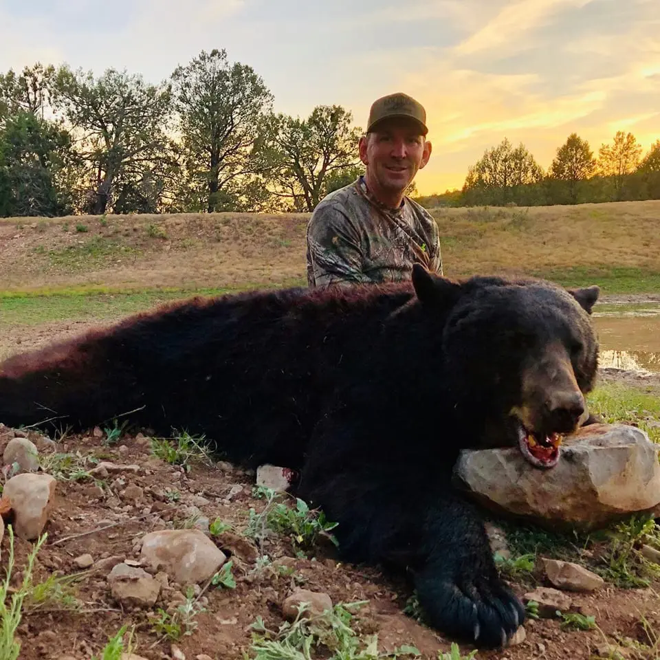 Arizona-white-mountain-Apache-reservation-black-bear-hunt-4.jpg » Outdoors International World Class black bear hunting on the White Mountain Apache Reservation in Arizona with an extremely high percentage of color phase bears.